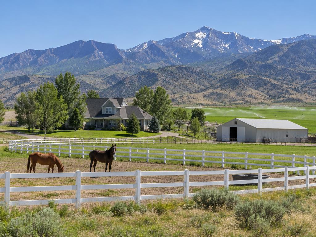 Acreage & Horse Properties neighborhood in Goshen